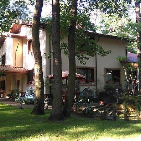 Villa Podkowa Podkowa Leśna 外观 照片