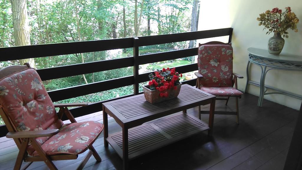 Villa Podkowa Podkowa Leśna 外观 照片