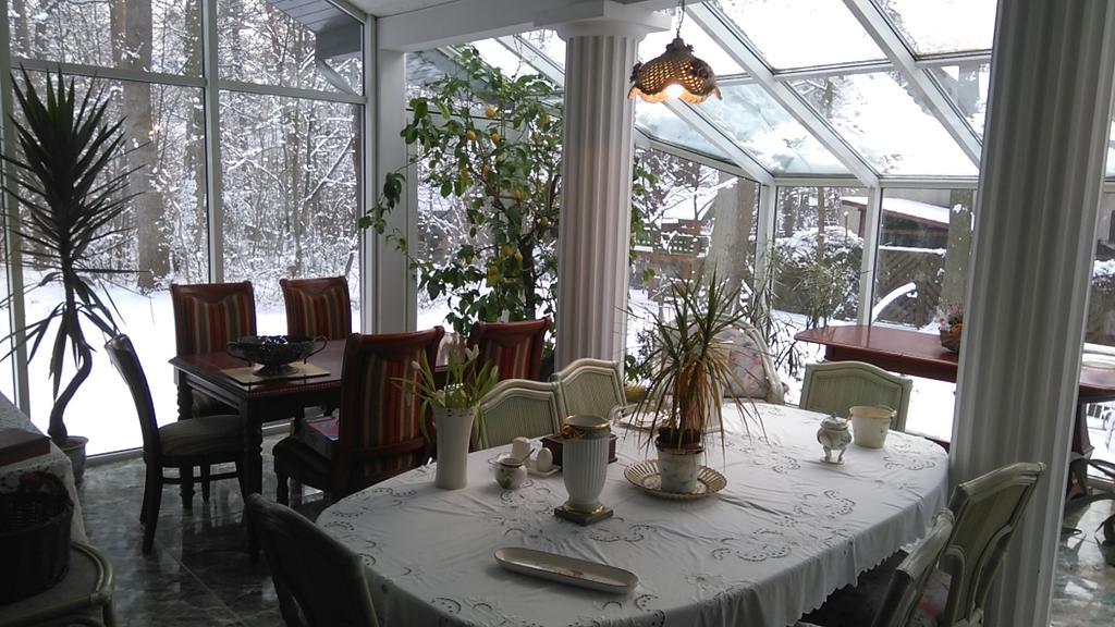 Villa Podkowa Podkowa Leśna 外观 照片
